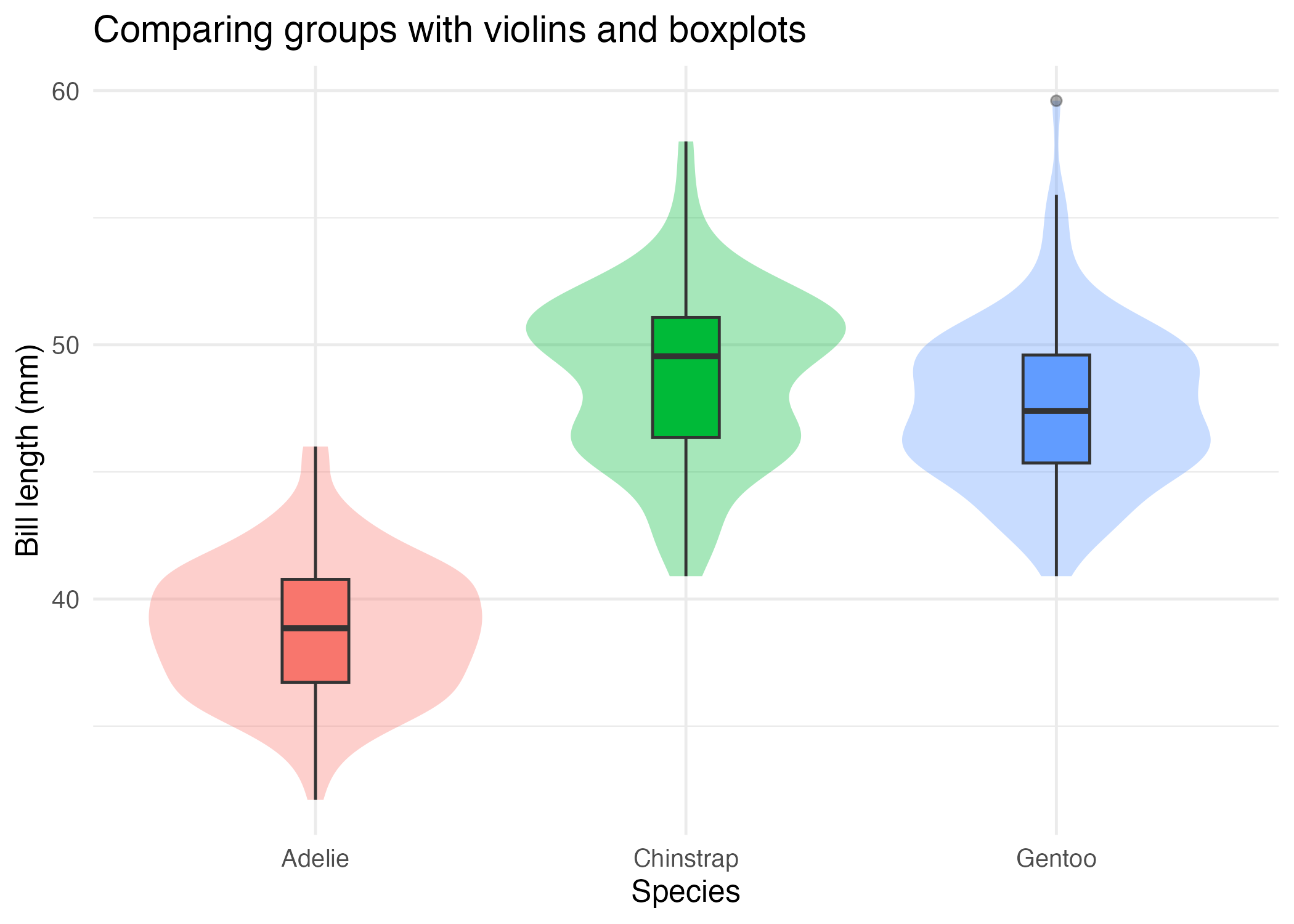 03-relationship-violin-box.png